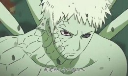 带土仙人爆料视频完整版,完整版内容深度解析